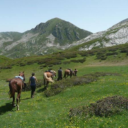 Agriturismo Bio-Ecologico Sant'Isidoro Roccaforte Mondovi Екстер'єр фото