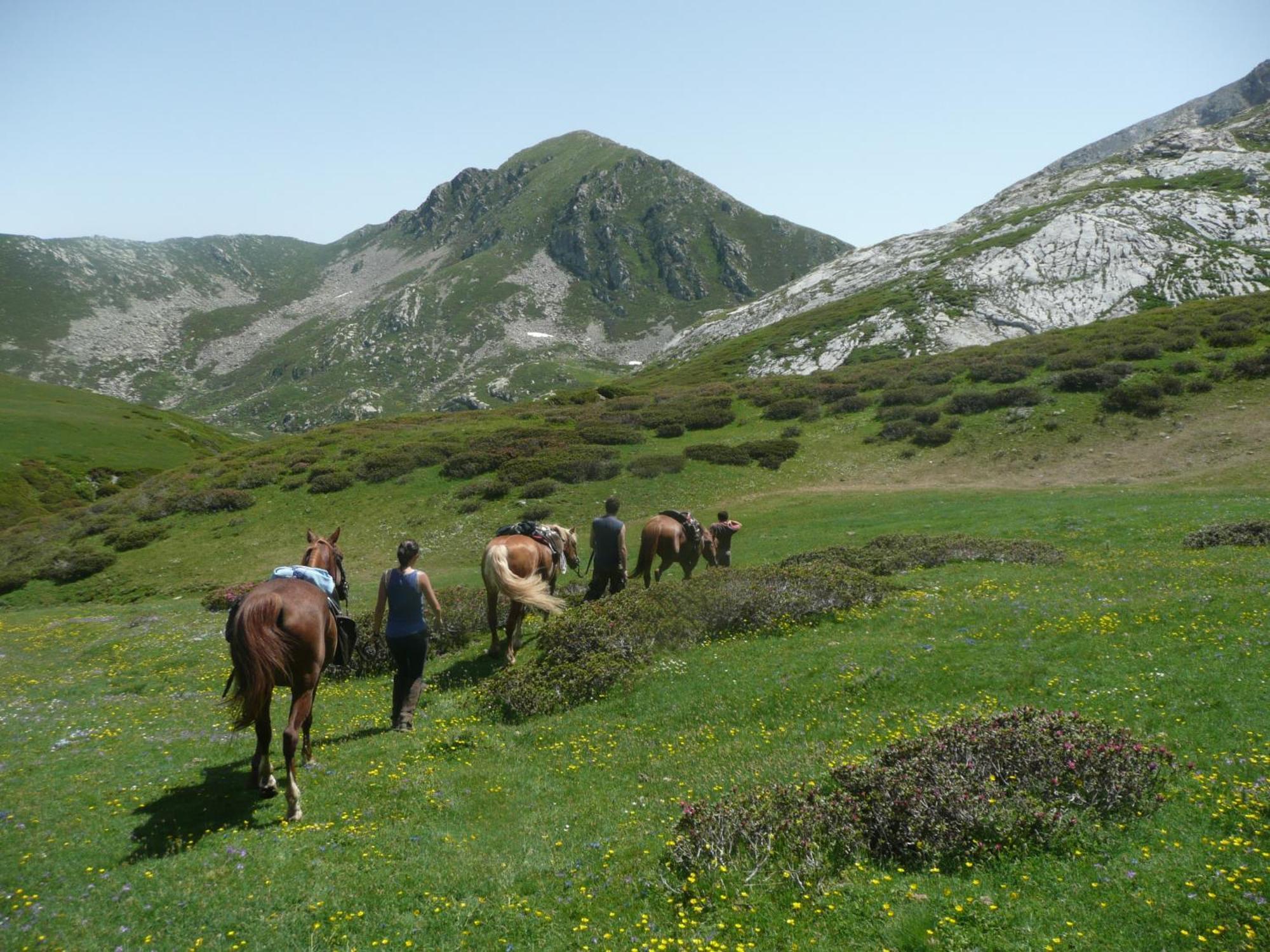 Agriturismo Bio-Ecologico Sant'Isidoro Roccaforte Mondovi Екстер'єр фото