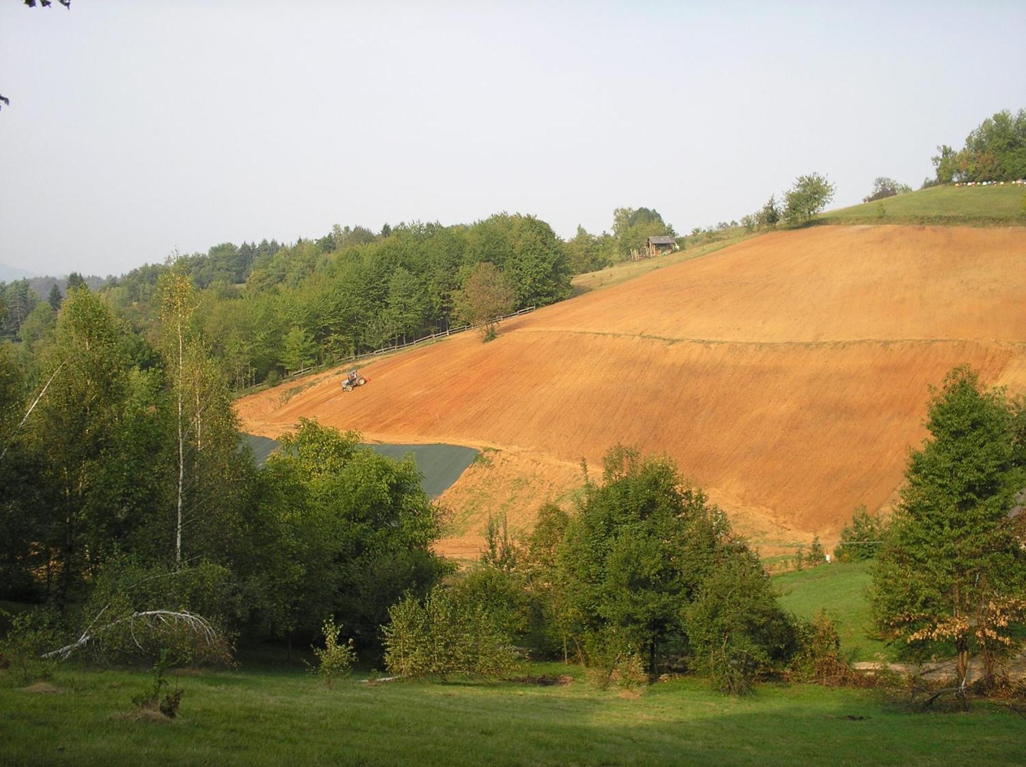Agriturismo Bio-Ecologico Sant'Isidoro Roccaforte Mondovi Екстер'єр фото