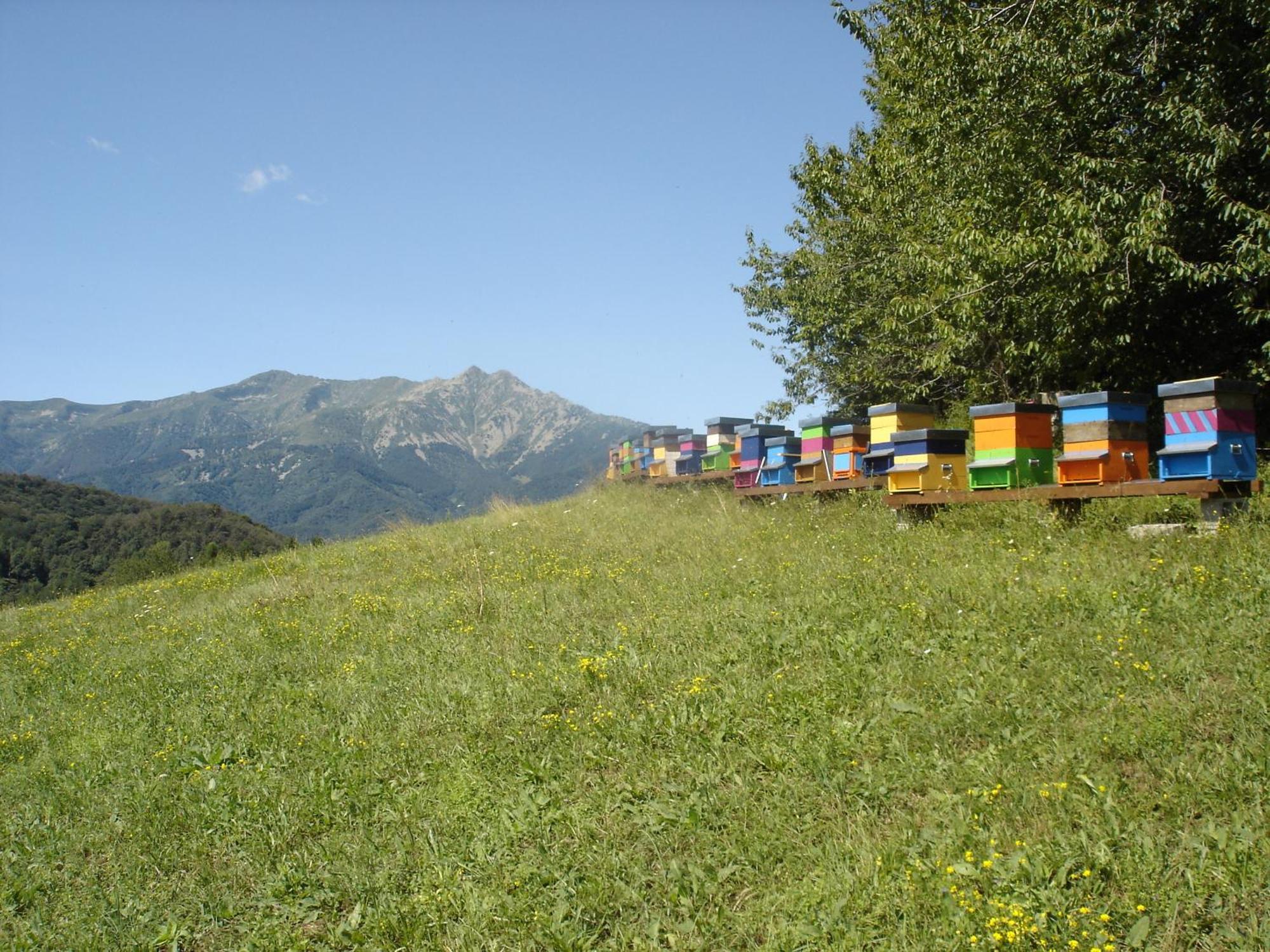 Agriturismo Bio-Ecologico Sant'Isidoro Roccaforte Mondovi Екстер'єр фото