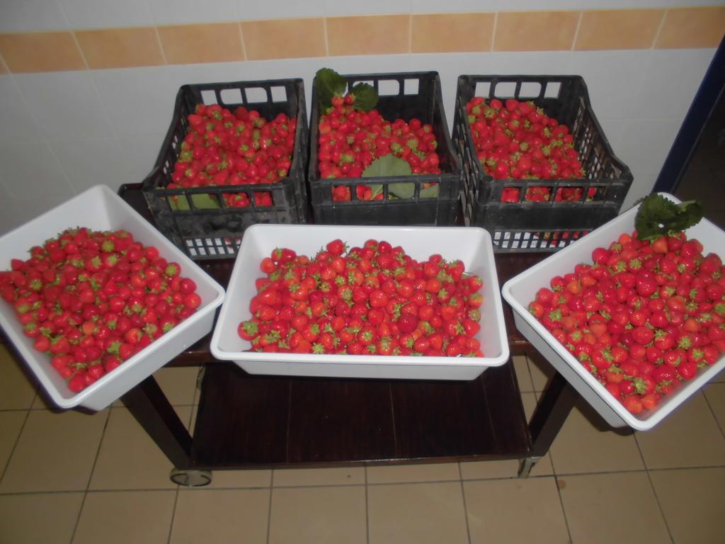 Agriturismo Bio-Ecologico Sant'Isidoro Roccaforte Mondovi Екстер'єр фото